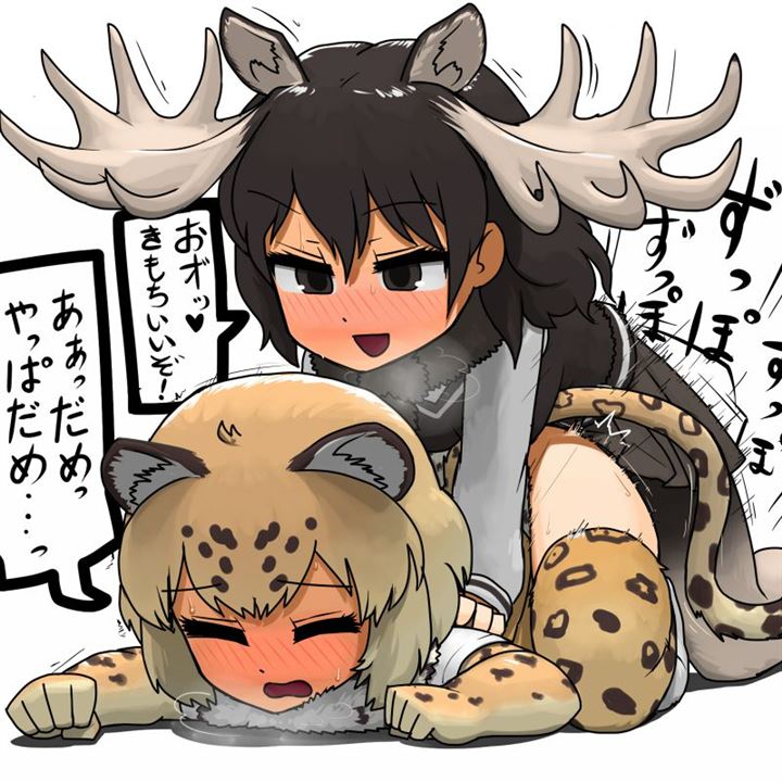 f 36 103 - 【けものフレンズ】ジャガー 二次元エロ画像＆イラスト Part2