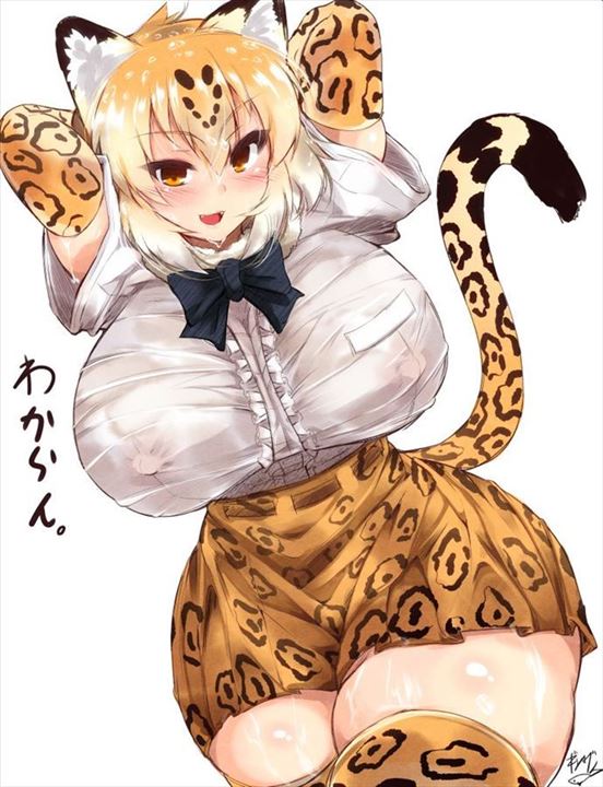 f 56 71 - 【けものフレンズ】ジャガー 二次元エロ画像＆イラスト Part2