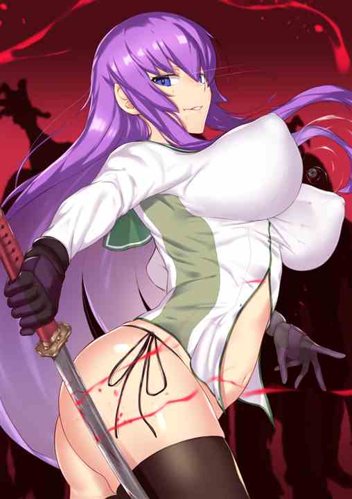 fds 41 66 - 【学園黙示録 HIGHSCHOOL OF THE DEAD】毒島冴子 二次元エロ画像＆イラスト Part2
