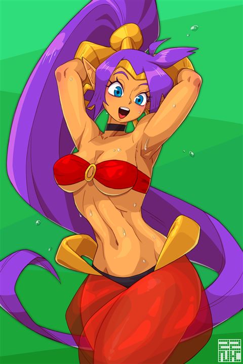 a 22 - 【Shantae】シャンティ 二次元エロ画像＆イラスト Part1