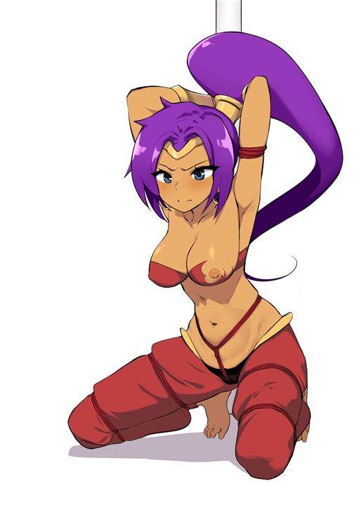 a 44 - 【Shantae】シャンティ 二次元エロ画像＆イラスト Part3