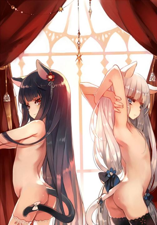 0dbgqFeU - 【猫耳娘】猫耳が可愛い女の子の二次元エロ画像＆イラスト Part01