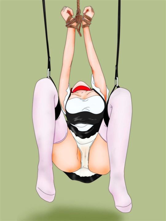 kQPsXhuf - 【吊るし上げ】拘束されて吊るされる女の子の二次元エロ画像＆イラスト Part04